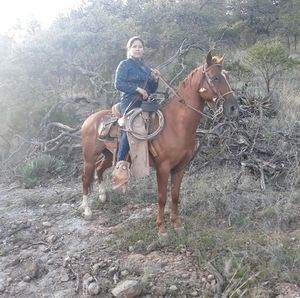 Meet your Posher, Dolores